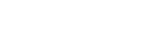 Brand X company logo, with logotype and logomark.